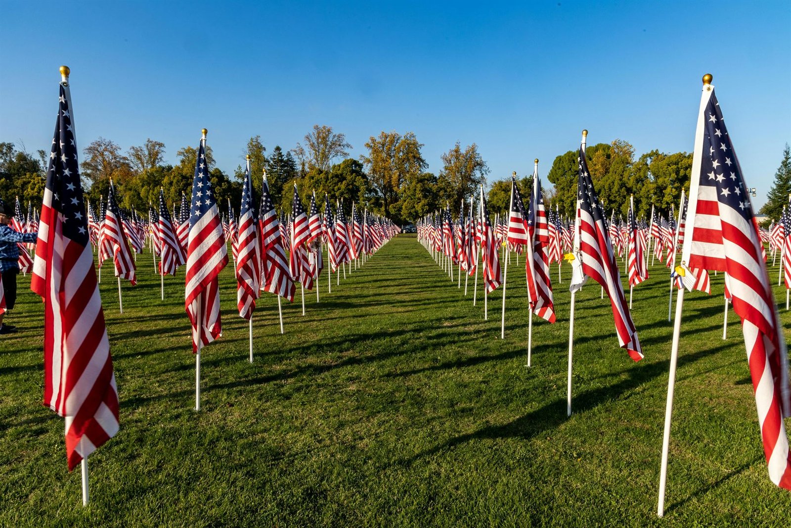 Rows of American flags displayed in tribute to veterans